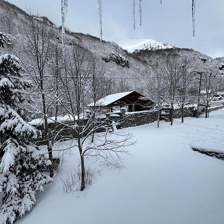 コラシン Vikendice Biocinoviciヴィラ エクステリア 写真