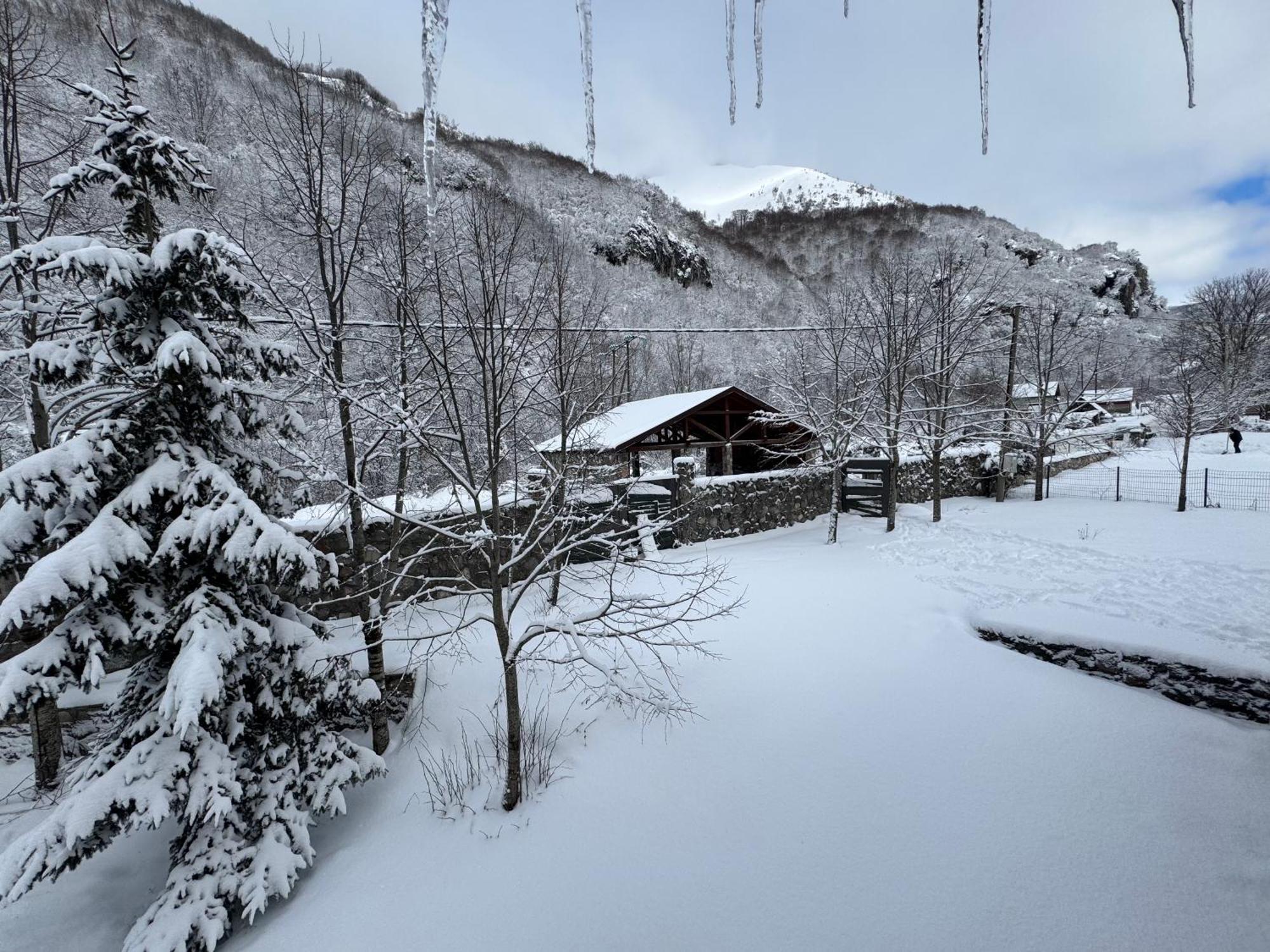 コラシン Vikendice Biocinoviciヴィラ エクステリア 写真